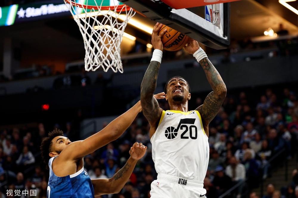 职业生涯的 职业生涯的