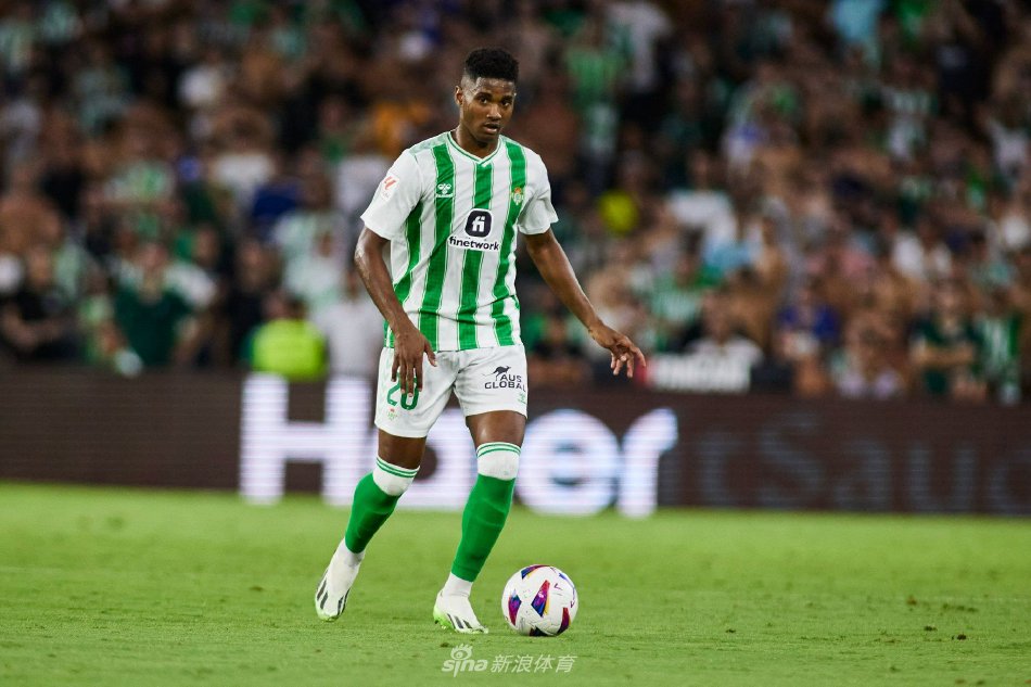 织的多样性 织的多样性